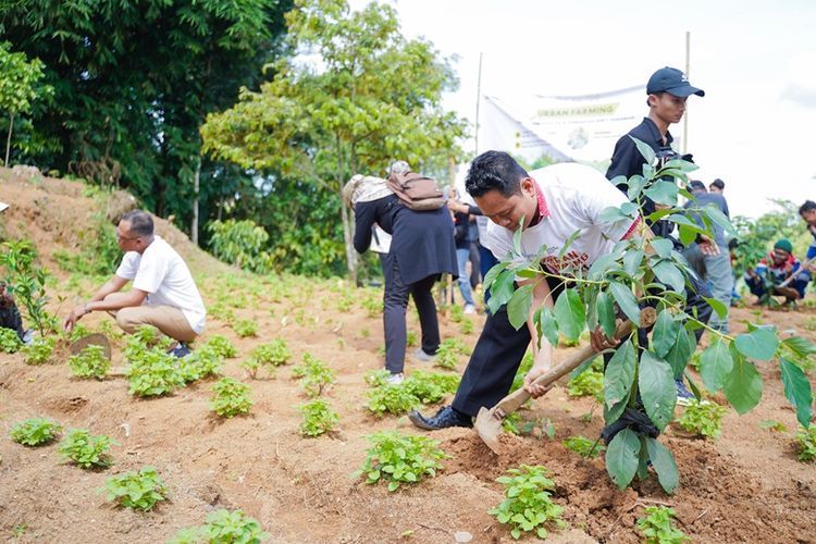 Praktik urban farming di kawasan Gunungpati yang berada di daerah hulu juga mendukung pengendalian banjir di pusat kota