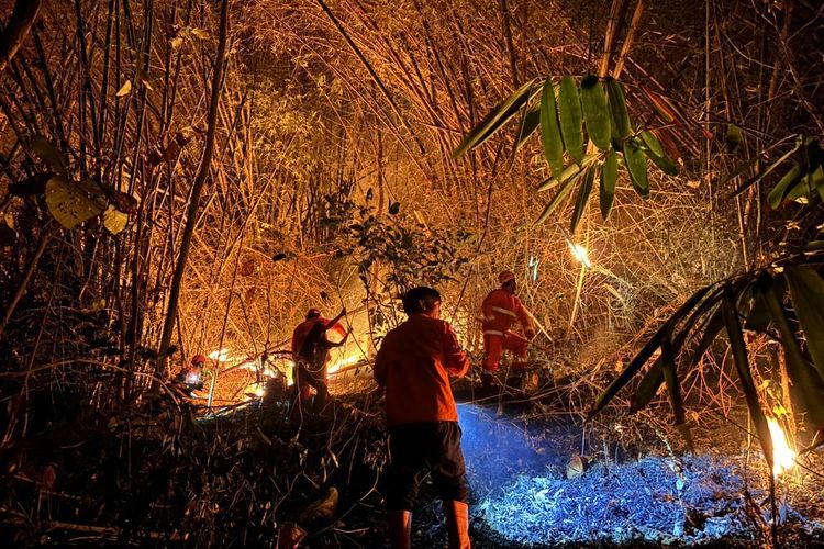2 Hektar Lahan di Jember Terbakar, BPBD Ingatkan Bahaya Api di Lahan Kering
