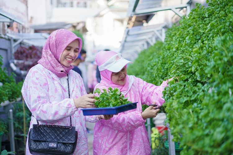 Lewat BRI Peduli - BRInita, Kelompok Dasawisma Pisang di Palembang Sulap TPS Liar Jadi Urban Farming yang Bernilai Ekonomis