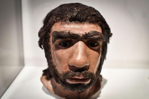 Ilmuwan Temukan Fungsi Hidung Besar Manusia Purba Neanderthal