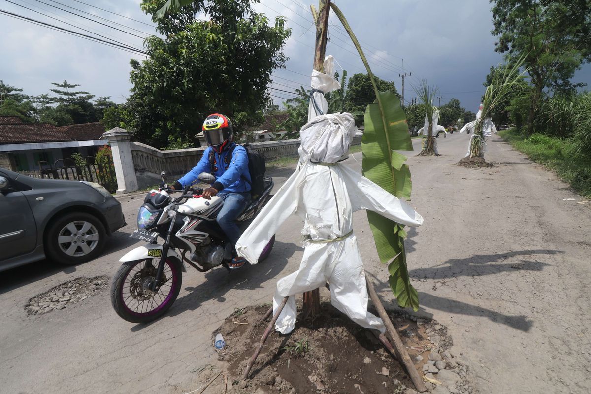 Pengendara sepeda motor melintas di jalan rusak yang ditanami tanaman pisang dan tebu di Desa Janti, Kediri, Jawa Timur, Sabtu (2/4/2022). Warga daerah setempat memberi tanda pada lubang jalan dengan menanam tanaman tebu dan pisang sekaligus memasang baju alat pelindung diri (APD) bekas sebagai bentuk protes karena jalan rusak yang tidak kunjung diperbaiki.