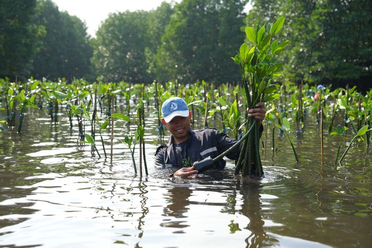 Pupuk Kaltim melalui program konservasi terumbu karang dan konservasi tanaman mangrove berupaya memberikan kontribusi pada pelestarian lingkungan dan keanekaragaman hayati. 