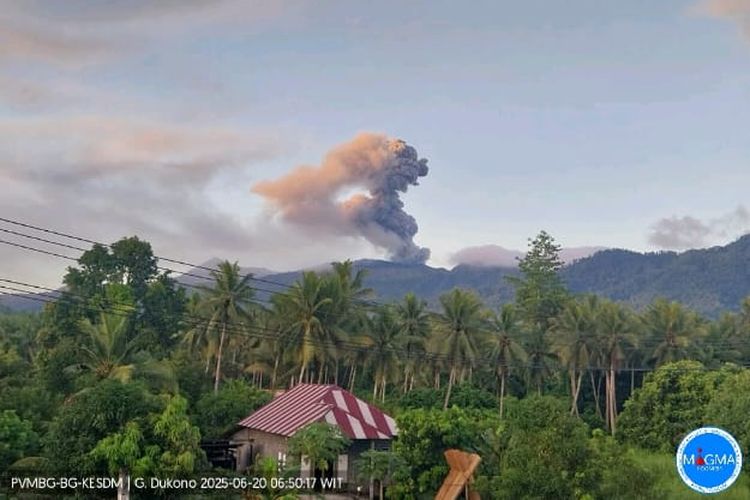 Gunung Dukono di Maluku Utara erupsi pada tanggal 20 Juni 2025 pukul 06:41 WIT dengan tinggi kolom abu teramati ± 1.400 m di atas puncak (± 2.487 m di atas permukaan laut). Kolom abu teramati berwarna putih hingga kelabu dengan intensitas tebal condong ke arah timur.
