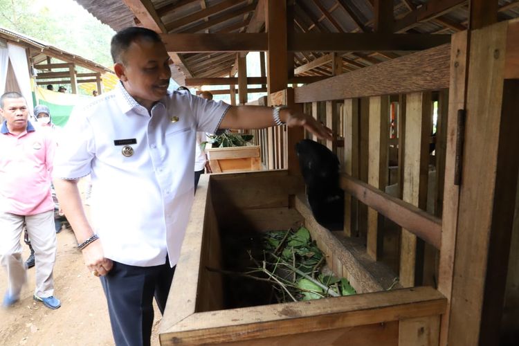 Bupati Purworejo Agus Bastian meninjau para peternak yang ada di Desa Tlogoguwo Kecamatan Kaligesing Kabupaten Purworejo Jawa Tengah 