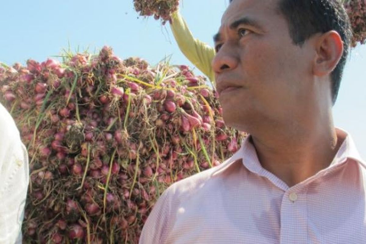 Mentan Andi Amran Sulaiman saat mengunjungi sentra pertanian bawang merah di Brebes, Jawa Tengah, Jumat (12/6/2015) lalu.