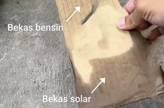 Waka MPR Sebut Ekonomi Hijau Harus Jadi Tulang Punggung Ekonomi Nasional