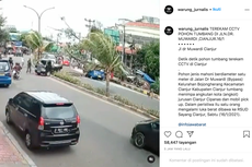 Mobil Terimpa Pohon Tumbang, Apakah Bisa Diklaim Asuransi?