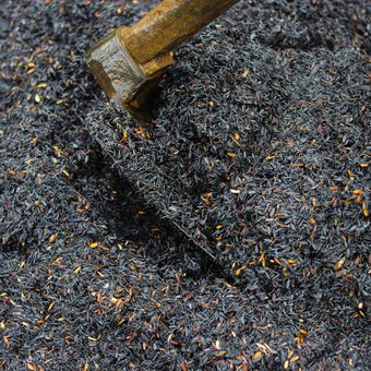 Ilustrasi arang sekam padi, sekam bakar yang digunakan sebagai bahan media tanam dan pupuk organik. 