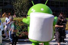 Klasemen Terbaru Android, Marshmallow Memimpin