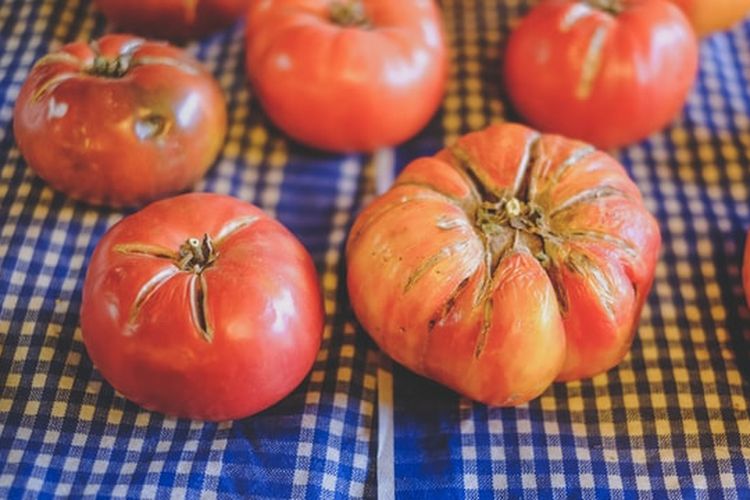 Tips agar Kulit Buah Tomat Tidak Terbelah 