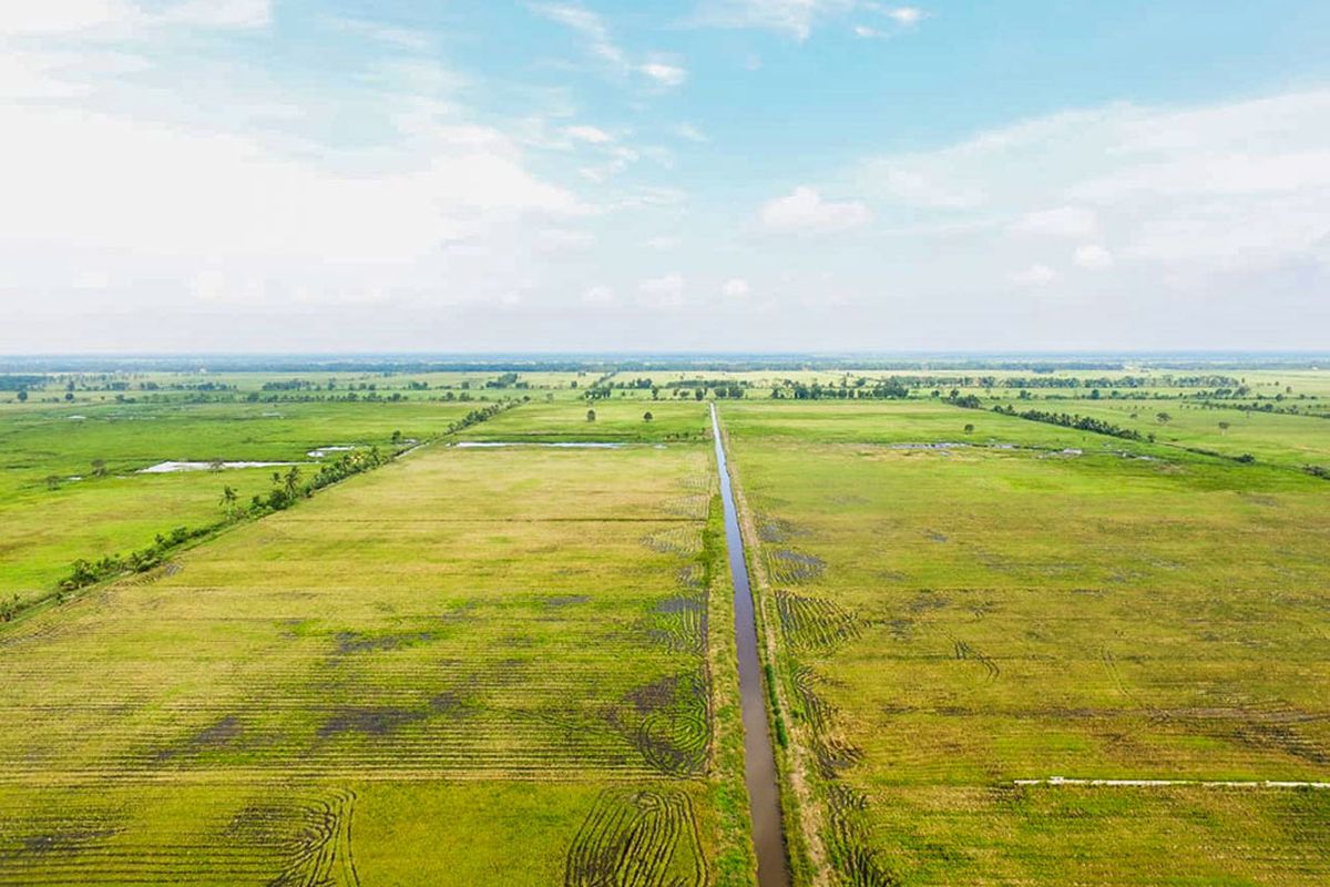 Hamparan sawah dari ketinggian