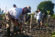 Kota Langsa Kembangkan Ekowisata Hutan Mangrove