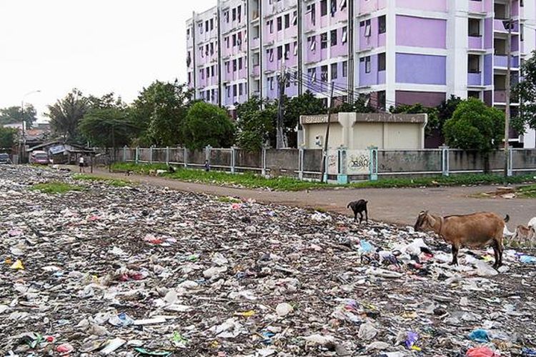 Hamparan sampah seluas lebih dari 500 meter persegi terlihat di samping Rumah Susun Sederhana Sewa Pinus Elok, Cakung, Jakarta Timur, Kamis (5/2). Hamparan sampah itu telah berusia 16 tahun dan tak pernah diangkut. Baru pada awal Januari separuh timbunan sampah itu diangkut setiap hari oleh Suku Dinas Kebersihan Jakarta Timur.