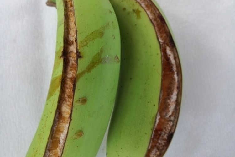 Buah pisang yang kulitnya pecah
