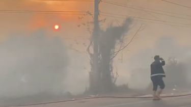 Kemenhut Akan Usut Penyebab Karhutla Kalimantan, Pelanggaran Akan Diproses Hukum