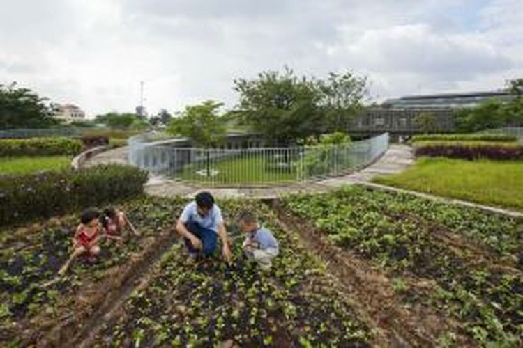 Dalam rangka menjaga dan menjalin hubungan yang lebih dalam dengan lingkungan alam, TK Pertanian memiliki konsep sebagai gedung hijau yang berkelanjutan, menyediakan makanan dan pengalaman pertanian untuk anak-anak, serta taman bermain yang luas.