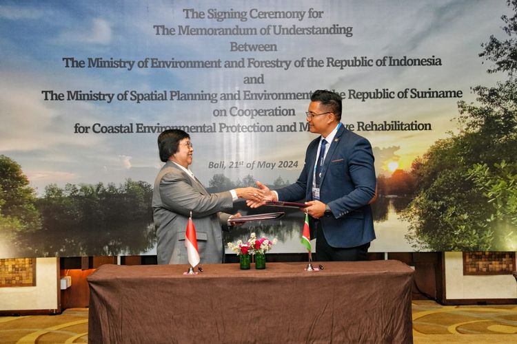 Pemerintah Indonesia dan Pemerintah Suriname menandatangani MoU kolaborasi pertukaran pengetahuan dan bantuan teknis terkait perlindungan pesisir hijau dan rehabilitasi mangrove di Bali, Selasa (21/05/2024).