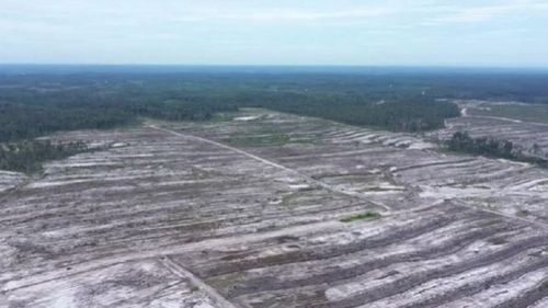 "Food Estate" di Antara Pusaran Pilpres 2024