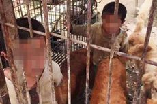 Ditinggal Kedua Orangtuanya, Dua Bocah di China Hidup di Kandang Anjing