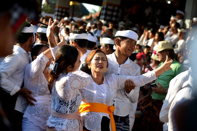 Umat Hindu menari dalam kondisi kesurupan saat mengikuti Tradisi Ngerebong di Denpasar, Bali, Minggu (20/8/2023). Tradisi yang dilakukan setiap enam bulan sekali tersebut dilakukan untuk menyucikan alam dan menetralisir kekuatan negatif. ANTARA FOTO/Fikri Yusuf/nz