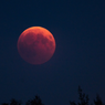 Live Streaming Detik-detik Gerhana Bulan Total