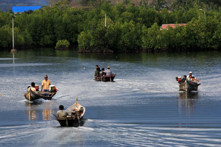 Lalu lintas masyarakat Suku Bajo yang menggunakan perahu dengan latar belakang hutan mangrove yang mereka kelola