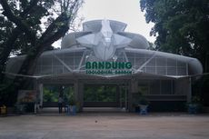 Update Harga Tiket dan Diskon Masuk Kebun Binatang Bandung 2023
