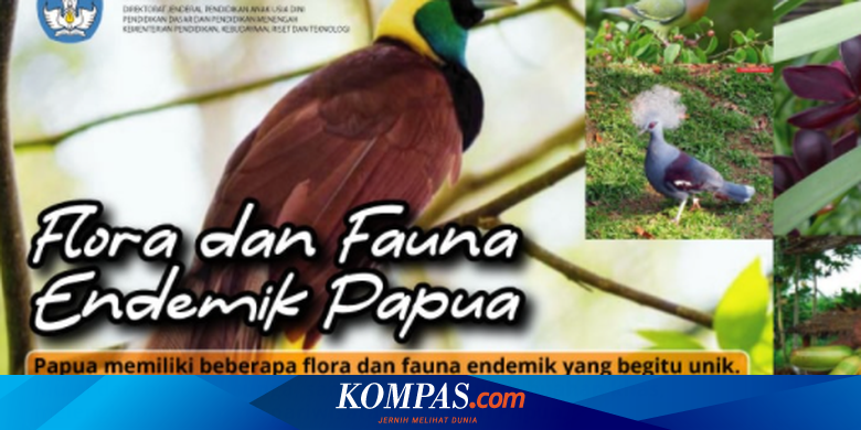 Siswa Yuk Kenali Keanekaragaman Flora dan Fauna Asli Papua Halaman all -  Kompas.com