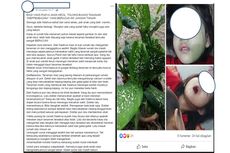 Viral Anak Alami Kejang Setelah Gigit Daun 