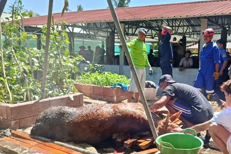 Sapi Tercebur ke Sumur Resapan di Gunungkidul, Evakuasi Berlangsung 2 Jam