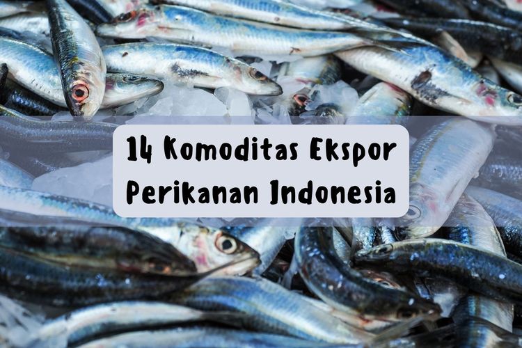 Udang merupakan komoditas ekspor yang masuk dalam kelompok perikanan. Salah satu contoh komoditas ekspor perikanan Indonesia adalah ranjungan.
