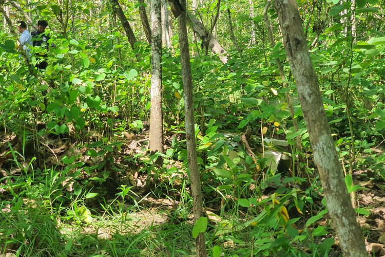 Kotak Sumbangan Pernikahan di Gunungkidul Dicuri, Korban Menangis, Uang Rp 15 Juta Lenyap