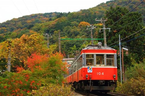 Sebelum Liburan, Cek Dulu Kondisi Transportasi Area Hakone-Jepang Terkini