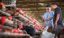 Indeks Bisnis UMKM BRI Q2-2026 Tembus 102,1, Aktivitas Usaha Masih Ekspansif