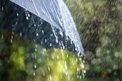 Prakiraan BMKG: Wilayah Berpotensi Hujan Lebat, Petir, dan Angin Kencang 10-11 Mei 2024