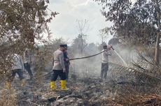 311 Hektar Lahan Terbakar di Inhu Riau, Pemadaman dari Darat dan Udara