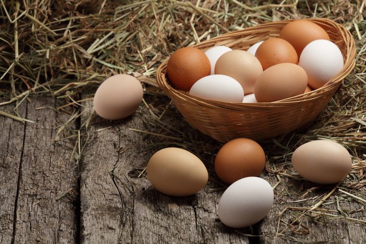 Ilustrasi telur ayam. Harga telur melonjak di New Zealand.