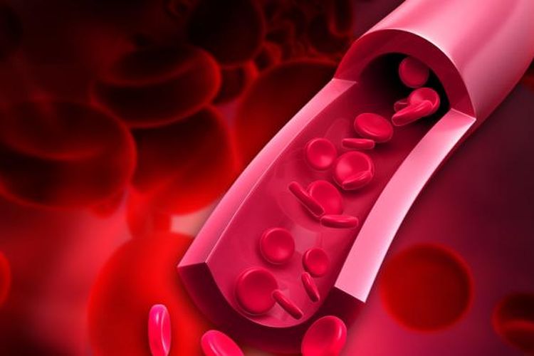 Ilustrasi sel darah dalam pembuluh darah. Jumlah sel darah merah yang rendah dalam tubuh dapat mengganggu pertukaran udara dalam pernapasan.