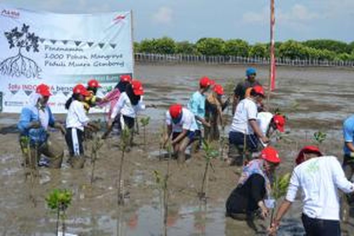 Ratusan Sahabat Satu Hati Honda menanam 1.000 mangrove di Bekasi.