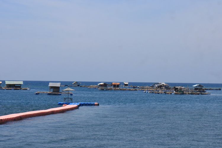 Puluhan keramba budidaya ikan kerapu di destinasi wisata kampung kerapu kabupaten situbondo 