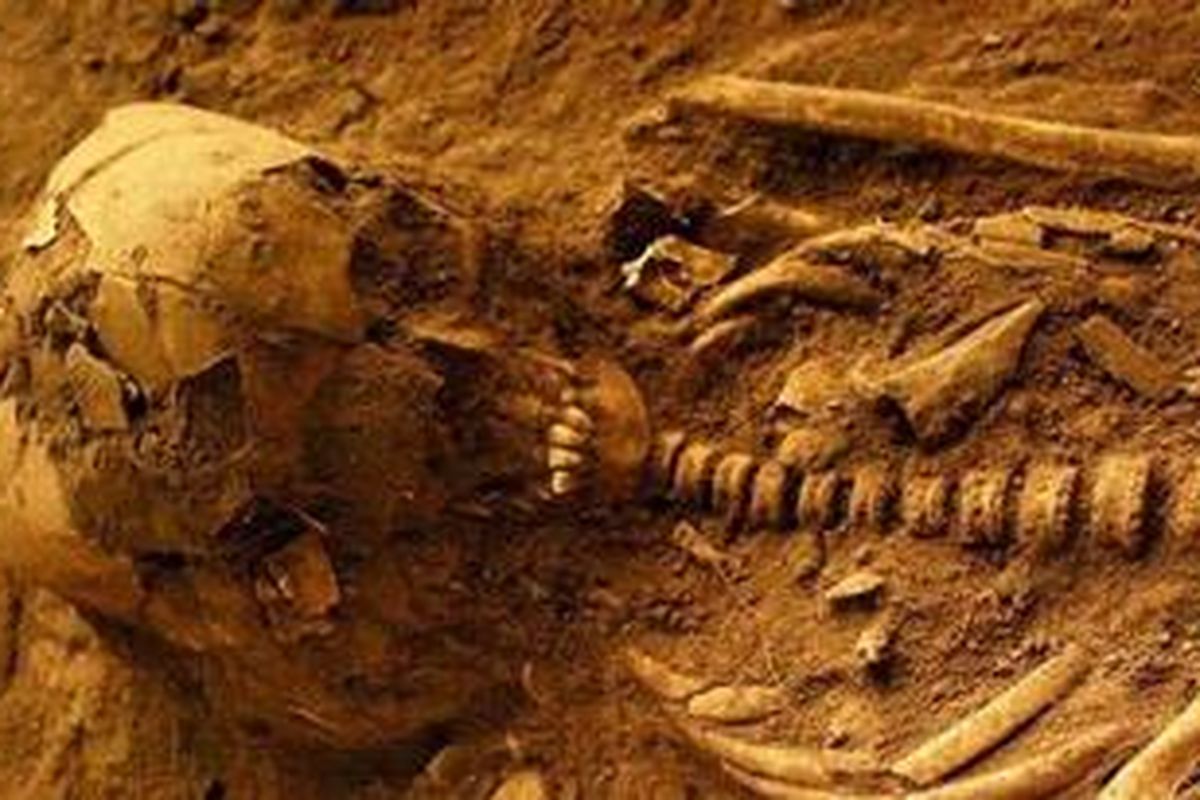 Fosil manusia berumur sekitar 3.000 tahun dengan panjang kerangka yang masih utuh sekitar 2 meter ini ditemukan di Gua Harimau Desa Padangbindu Kecamatan Semidangaji, Kabupaten Ogan Komering Ulu (OKU), Sumatera Selatan.