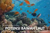 Pemanfaatan Potensi Dasar Laut Indonesia 