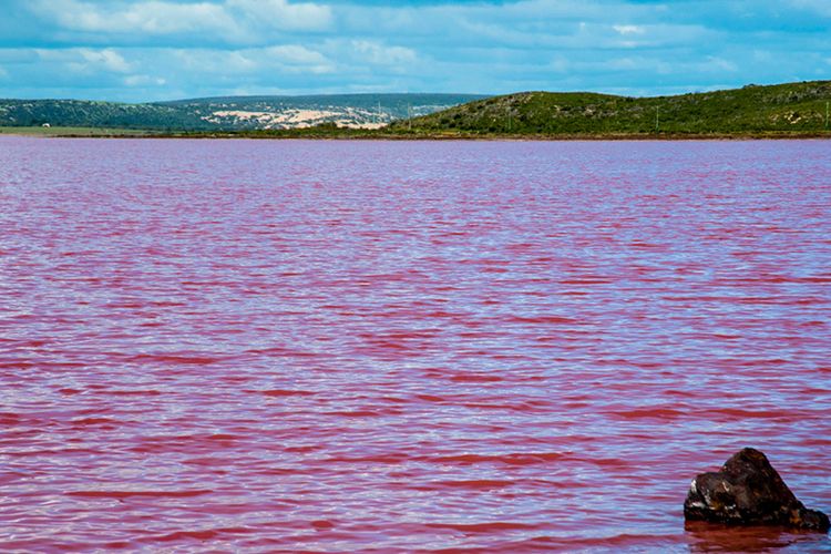 Danau Merah Mudah di Australia.