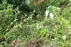 Hasil Al Nassr Vs Al Khaleej 4-1: Gol Salto Cristiano Ronaldo