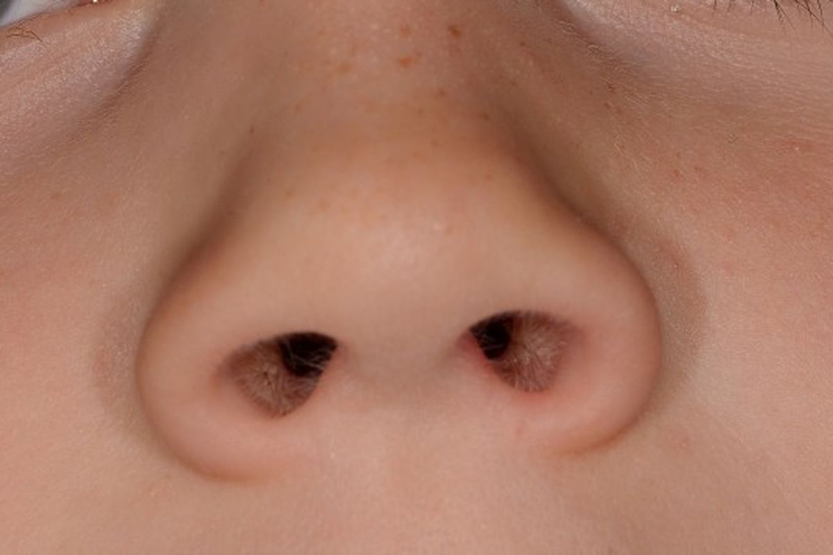 Setiap lubang hidung memiliki indera penciuman yang unik