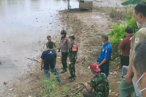 Kemunculan Buaya di Sekitar Perumahan di Makassar Mengintai Warga