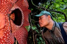 Kim Jong Un Pamer Kapal Selam Nuklir Raksasa, Milik Korea Utara Pertama