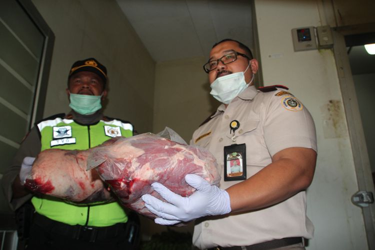 Balai Karantina Pertanian Kelas II Cilegon membongkar aksi penyelundupan daging celeng dari Sumatera menuju Jawa sebanyak 4 ton pada Juli 2018