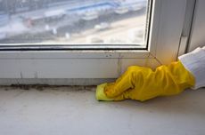 Ini Cara Mengidentifikasi Adanya Infeksi Jamur di Jendela Rumah