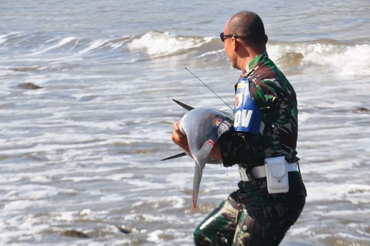 Anggota Kodim 0807 Tulungagung saat menemukan ikan lumba-lumba di Pantai Klatak, Kecamatan Besuki, Tulungagung, Minggu (1/9/2019).